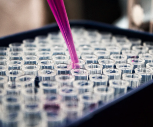 Science & Technology Highlights in the Second Year of the Trump Administration