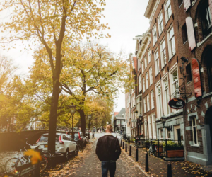 Safe Systems for Safer Streets