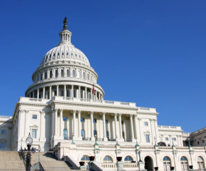 Federal Employee Pay in the Context of a  Government Shutdown